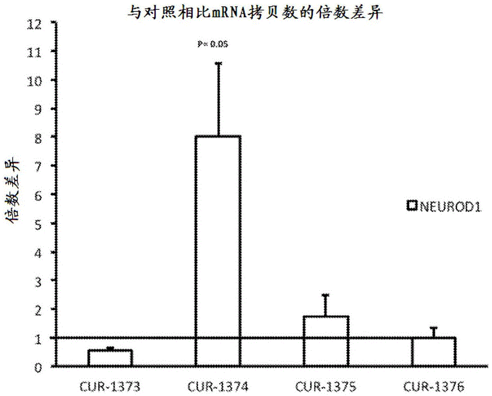亚博网站_婴儿的记忆力,父母们不要忽视了(夏季亲子教育指导),早教(图1) 亚博