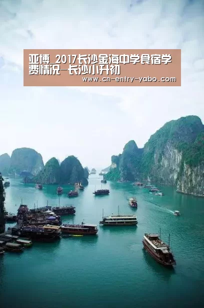 亚博体育下载