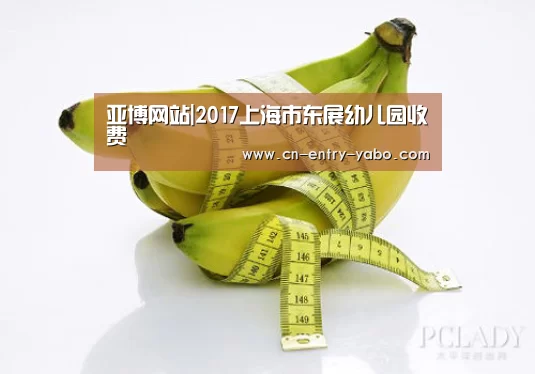 亚博网站|2017上海市东展幼儿园收费(图2) 亚博网站